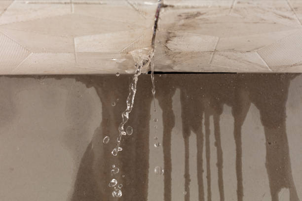 Professional Structural Drying technician working in Bishop, TX